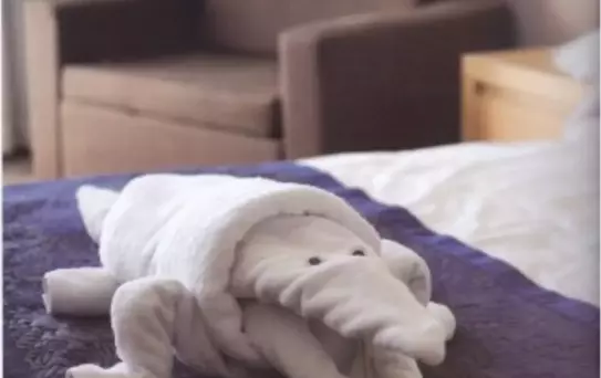 Havlu Katlamanın Püf Noktaları Kitabını Yazdı