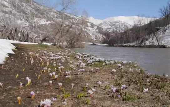 Tunceli'de İki Mevsim Bir Arada