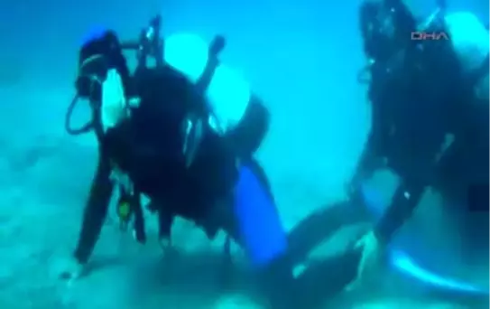 Deniz Altında Timsah Yürüyüşü Bursaspor Sevdalıları 30 Metre Derinlikte Timsah Yürüyüşü Yaptı.