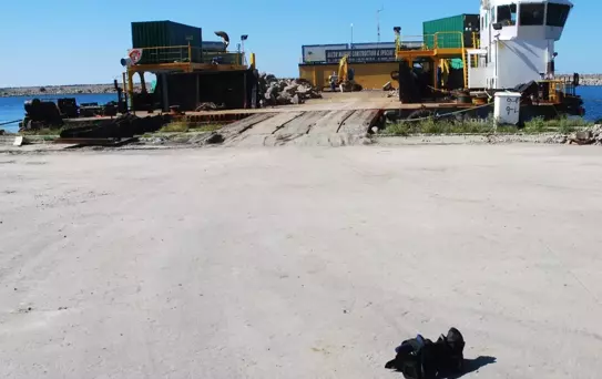 Giresun'da İHA Muhabiri Saldırıya Uğradı