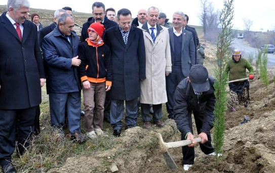 Sel Riskine Karşı Fidan Diktiler
