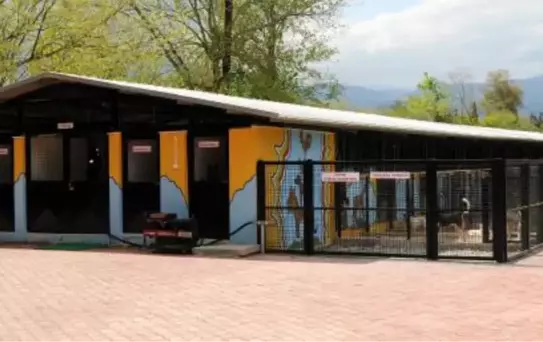 Antalya Bürosu'nun Bölge Haberleri (1)