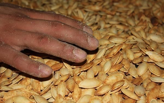 Denizli Ticaret Borsası
