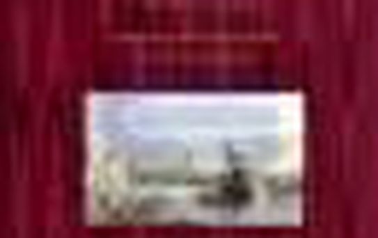 Constantinople And İts Environs Kitabı