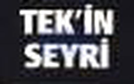 Tek'in Seyri Kitabı