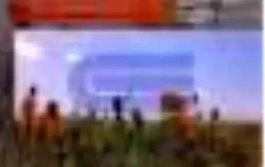 Berfin Bahar Dergisi Sayı: 99 Aylık Kültür Sanat ve Edebiyat Dergisi Kitabı