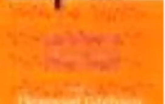 Kitap-lık Sayı: 60 Aylık Edebiyat Dergisi Kitabı