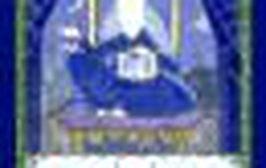 Rumi Tarot Kitabı