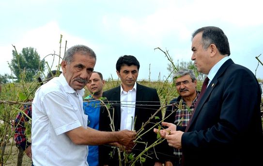 Üzümcününün Dostu Akçay, Sarıgöl ve Alaşehir'deki Üzüm Üreticisini Yalnız Bırakmadı