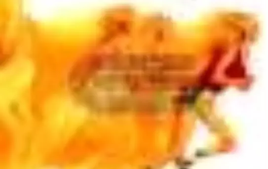 Başarıya Doğru Kanatlanıp Uçmak Kitabı