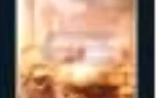 İbn Munkız Haçlılara Karşı Kitabü'l-İ'tibar Kitabı