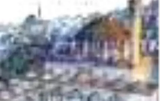 Cami (Ciltli) Kitabı