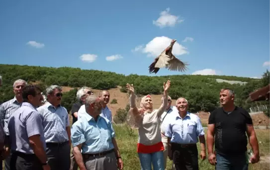 Hattuşa'nın Yeni Süsleri Sülün Kuşları