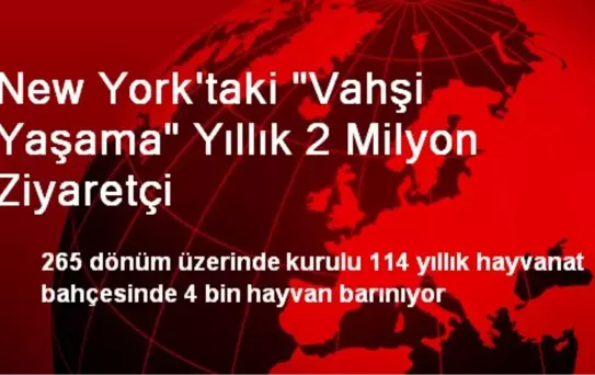 New York'taki 'Vahşi Yaşama' Yıllık 2 Milyon Ziyaretçi