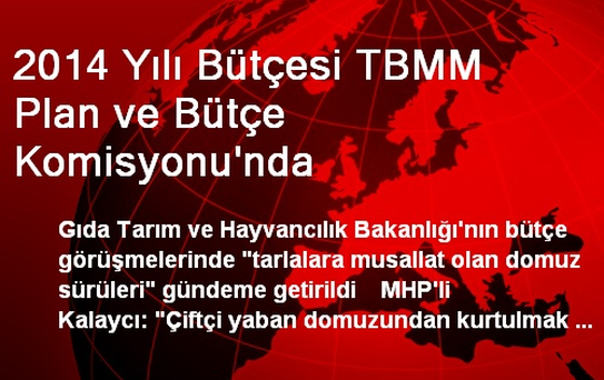 2014 Yılı Bütçesi TBMM Plan ve Bütçe Komisyonu'nda