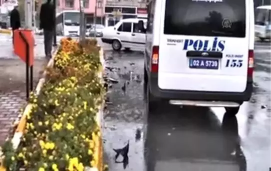 Midibüs ile otomobil çarpıştı: 5 yaralı