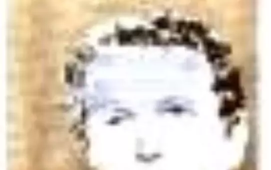 Dil ve Sanat Kitabı