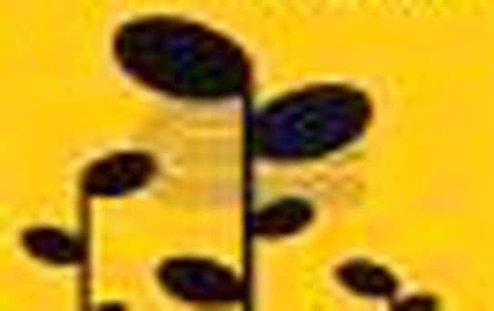 Şipşak Mozart Kitabı