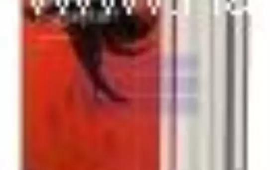 Edebi Polisiye Seti (5 Kitap Takım) Kitabı