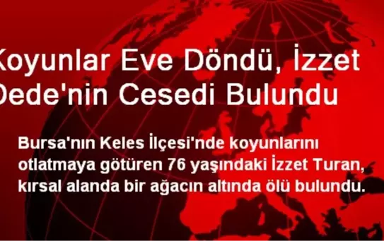 Koyunlar Eve Döndü, İzzet Dede'nin Cesedi Bulundu