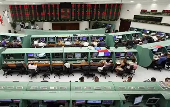 Yatırımcı Rehberi