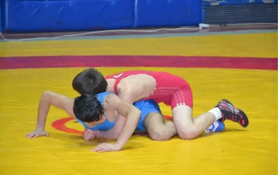 Gençler Güreş Grup Müsabakaları Sona Erdi