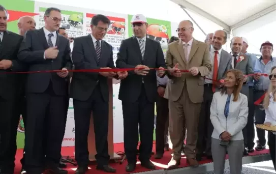 Canlı Hayvan Fuarı, İzmir'i Canlandırdı!