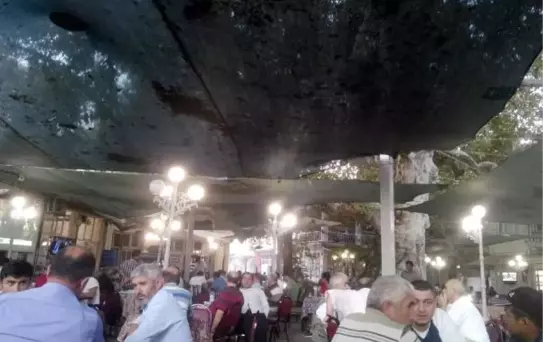 Serçelere Şemsiyeli Önlem