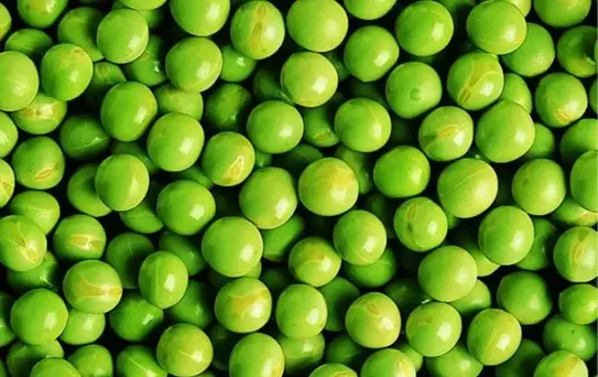 Neden Kurutulmuş Bezelye Tüketmeli?