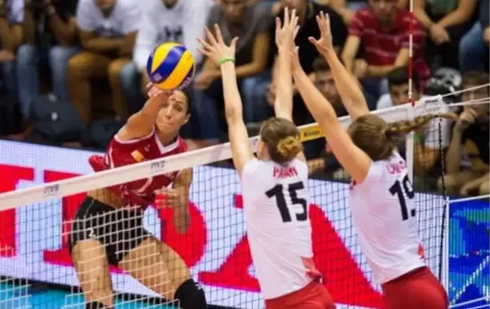 2014 Dünya Kadınlar Voleybol Şampiyonası