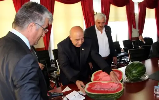 Sonbaharda Bolu Karpuzu