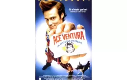 Budala Dedektif Filmi
