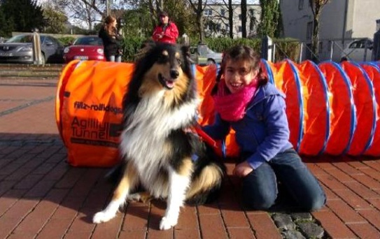 Terapi Köpekleri Engellerin Aşılmasına Yardımcı Oluyor