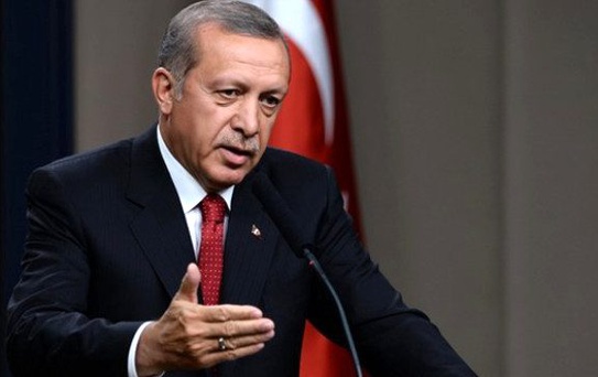 Washington Post'tan 'Hassas' Erdoğan Karikatürü