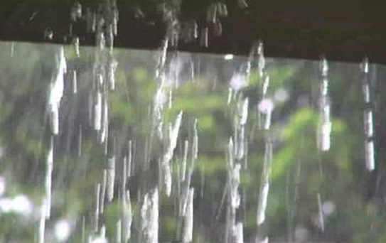 Scientists Explain Where That After-Rain Smell Comes From