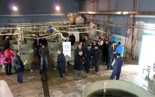 Erzurum Gazeteciler Cemiyeti'nden Balık-ekmek Şöleni