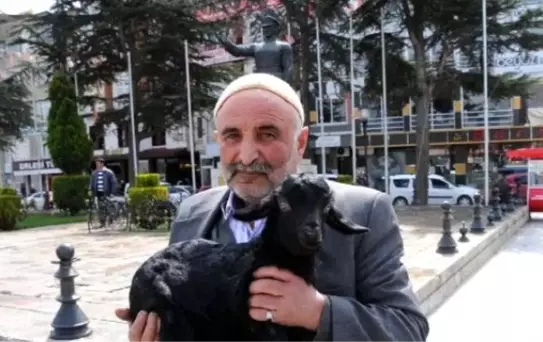 Hasta Oğlağı Kucağında Taşıdı