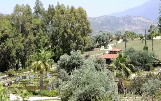 Çiller'in Çiftliğini Soyanlara Ceza Yağdı