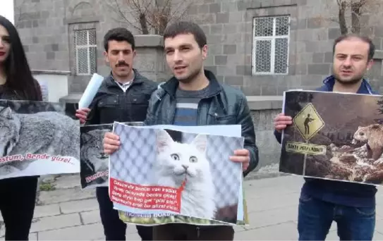 Nesli Tükenen Yaban Hayvanları İçin Seferber Oldular