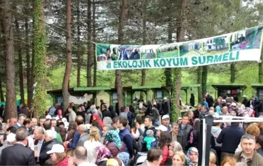 Bafra'da 3. Ekolojik Yerel Tohum ve Yaşam Şenliği