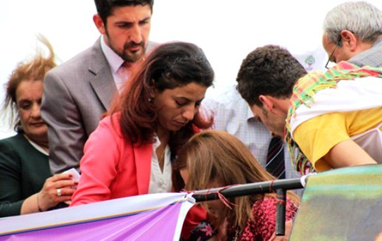 HDP'nin Milletvekili Adayı Ayşenur Vaizoğu, Mitingde Bayıldı