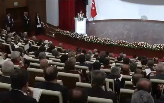 Danıştay'ın Kuruluş Yıl Dönümü Töreni (4)