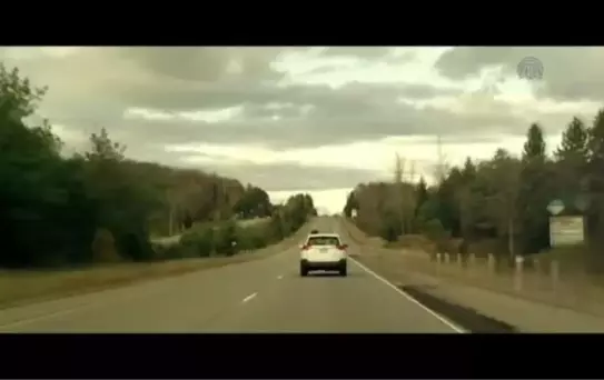 Sinema - 'Ölüm Ormanı'