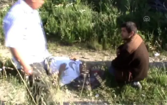 Bilecik'te Trafik Kazası: 5 Yaralı