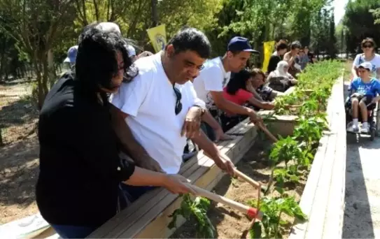 Engelsiz Hobi Bahçeleri'nde İlk Ürün Heyecanı