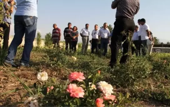 Iğdır'da Tarımsal Nüfus Gençleşiyor Projesi