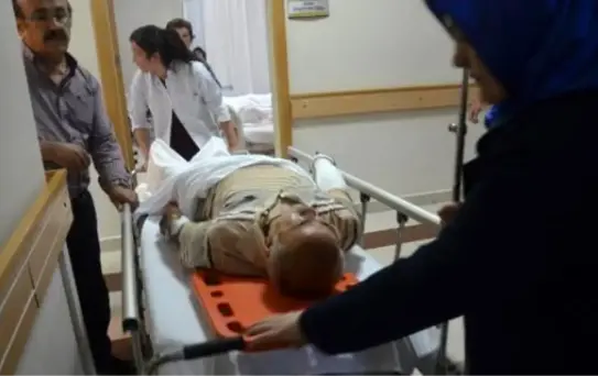Fındık Bahçesinde Yüksekten Düşen Eski Vekil Ağır Yaralandı