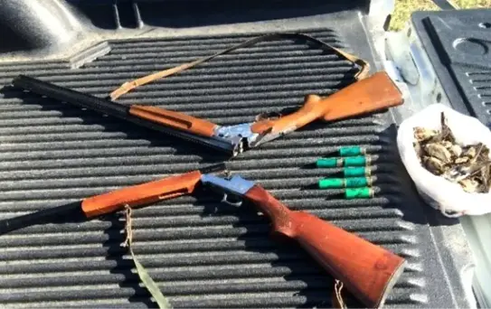 Jandarma Kaçak Avcıları Suçüstü Yaptı