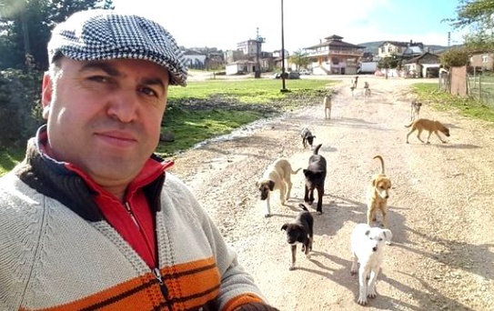 Yaylada Aç Kalan Köpekleri Besliyor