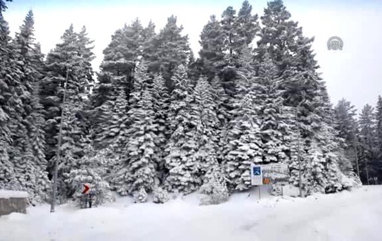 Ilgaz'da Yılbaşı Yoğunluğu